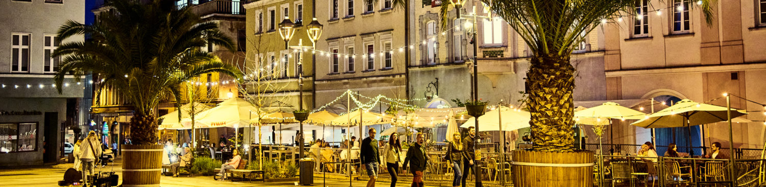 Stowarzyszenie Przyjaciół Ziemi Gliwickiej